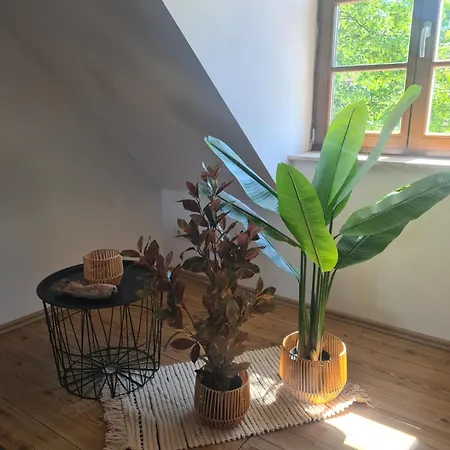 Apartment Loft